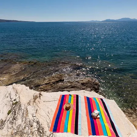 Lookout * Καλάμι